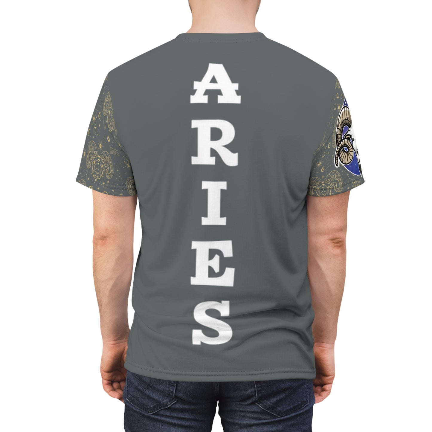 Aries Unisex Cut & Sew Tee (Dark Grey)
