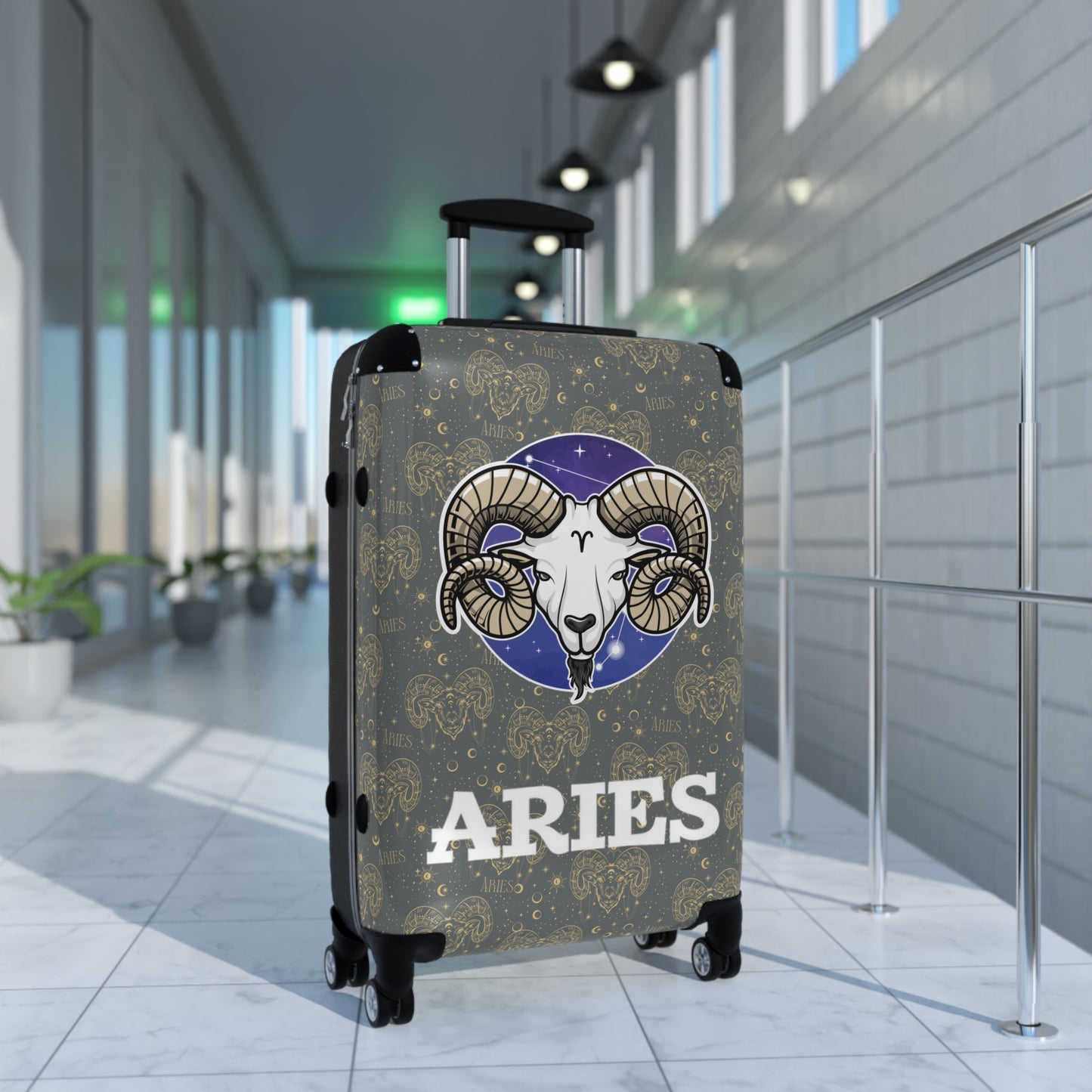 Aries Suitcases (Dark Graey)