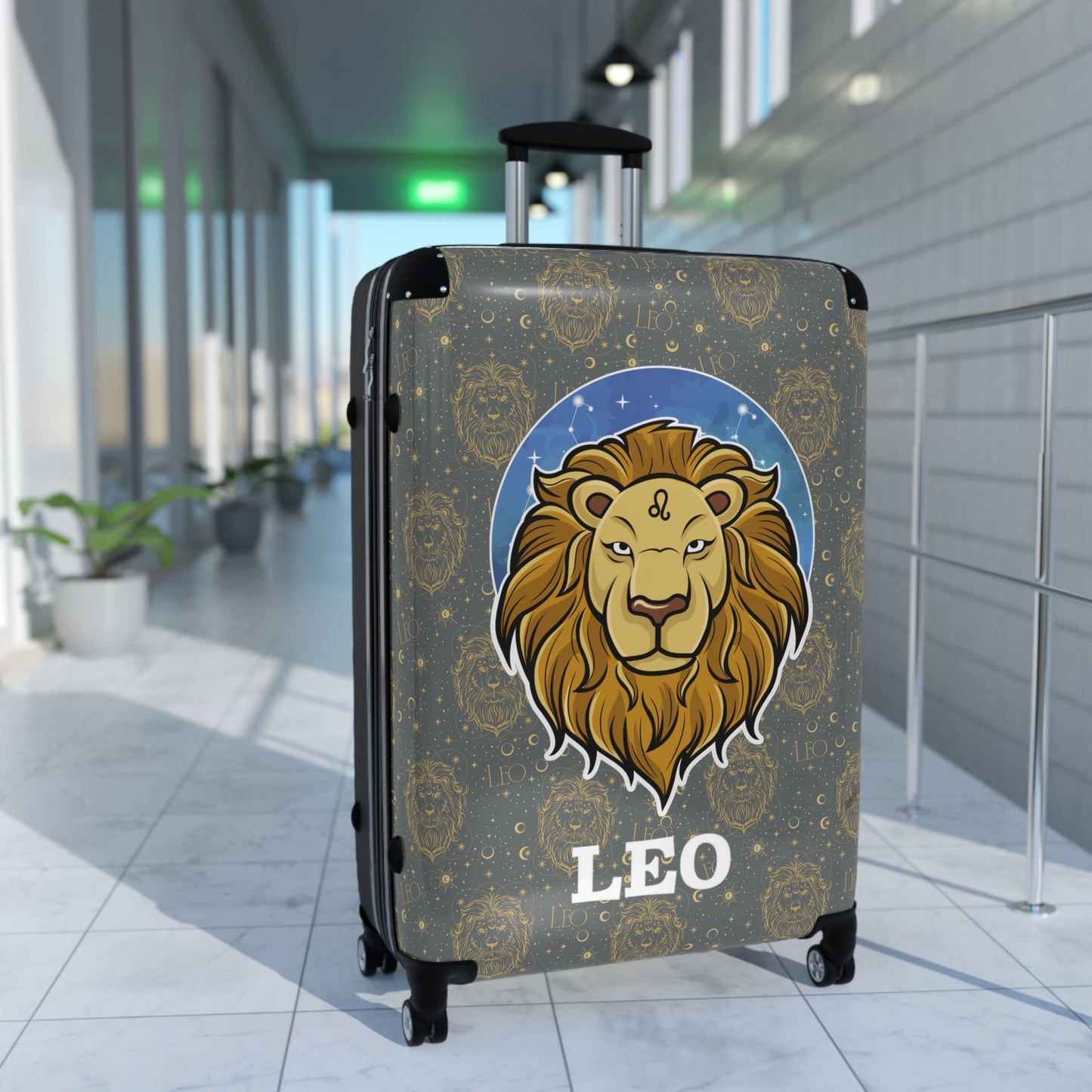 Leo Suitcases (Dark Grey)