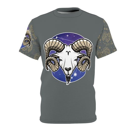 Aries Unisex Cut & Sew Tee (Dark Grey)
