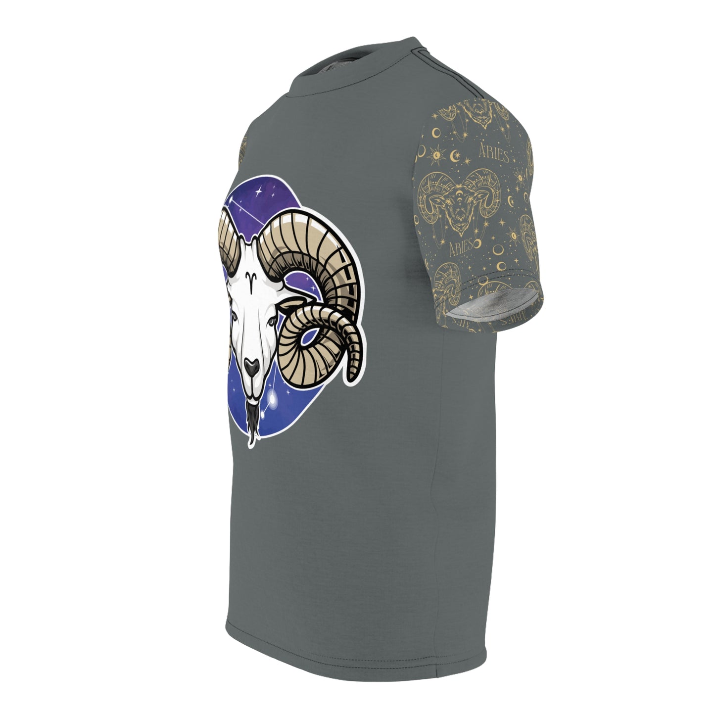 Aries Unisex Cut & Sew Tee (Dark Grey)