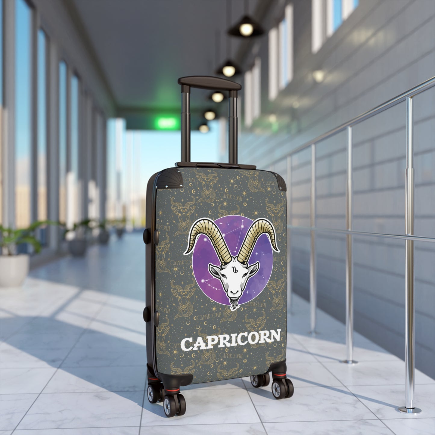 Capricorn Suitcases (Dark Grey)