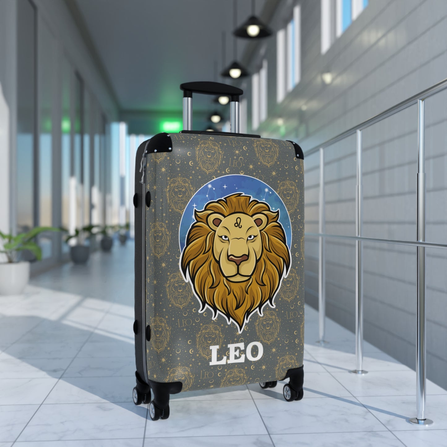Leo Suitcases (Dark Grey)