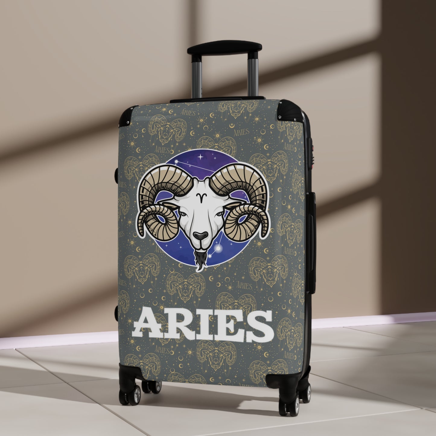 Aries Suitcases (Dark Graey)