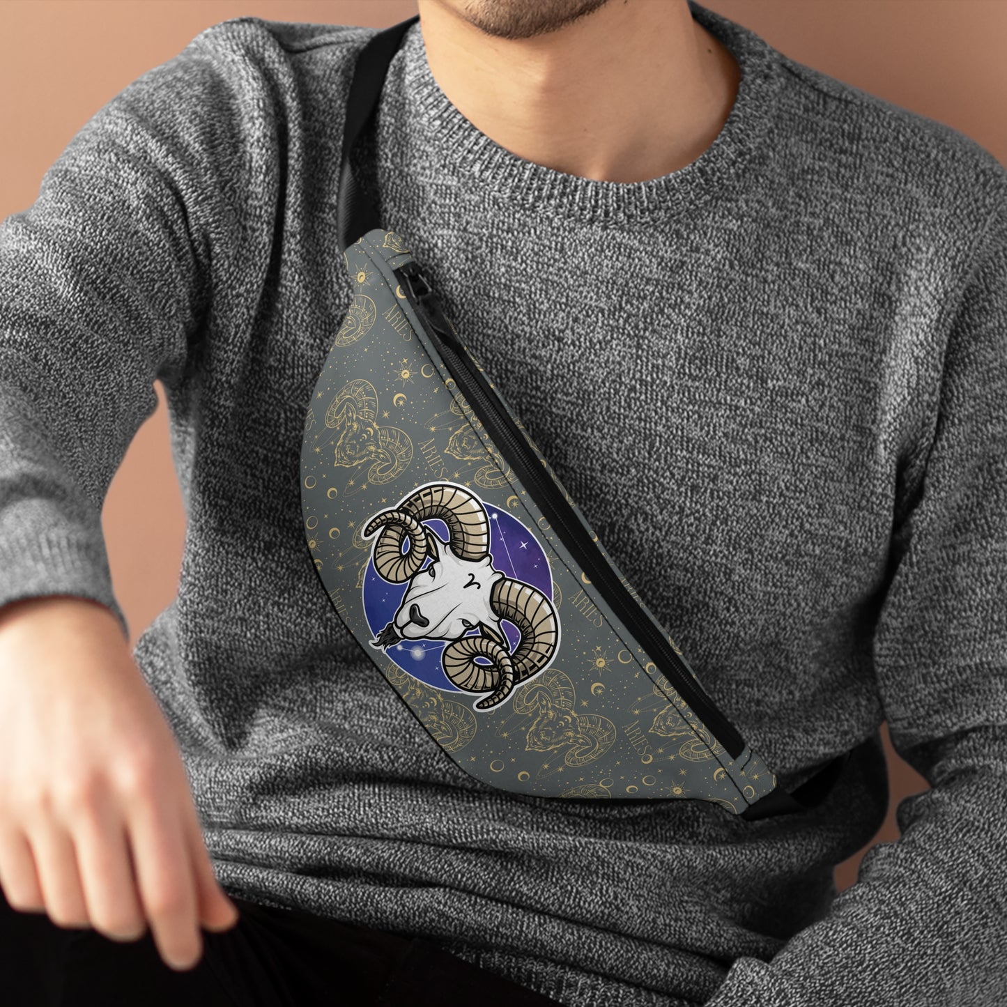 Aries Fanny Pack (Dark Grey)