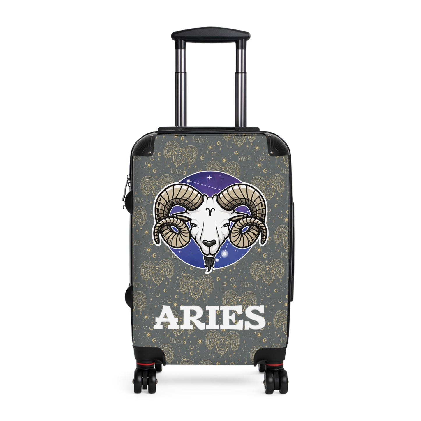 Aries Suitcases (Dark Graey)