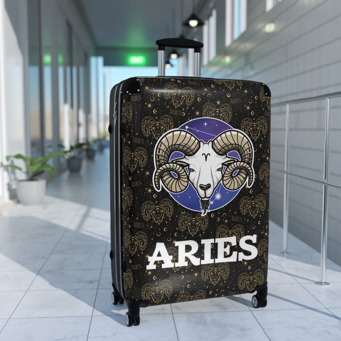 Aries Suitcases