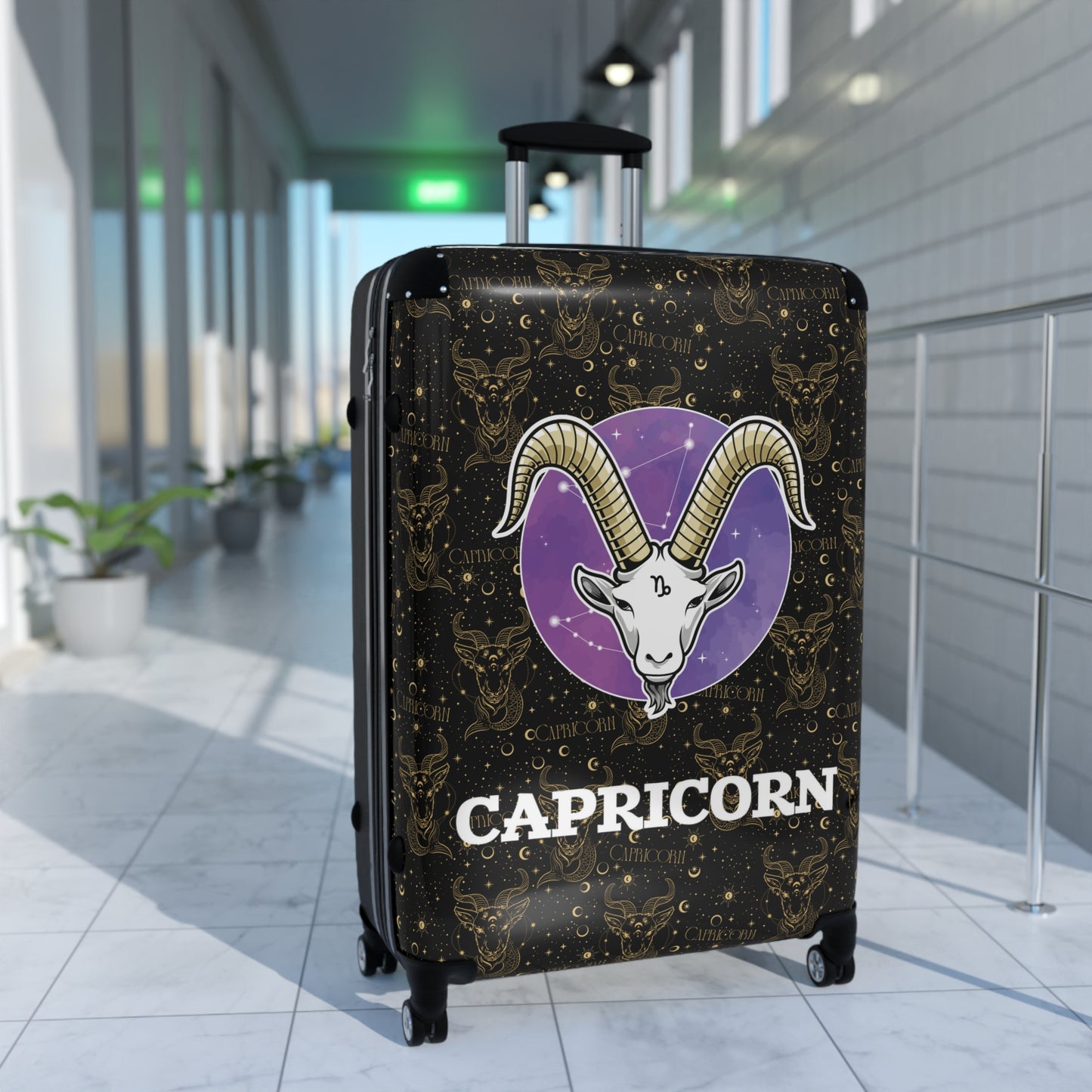Capricorn Suitcases