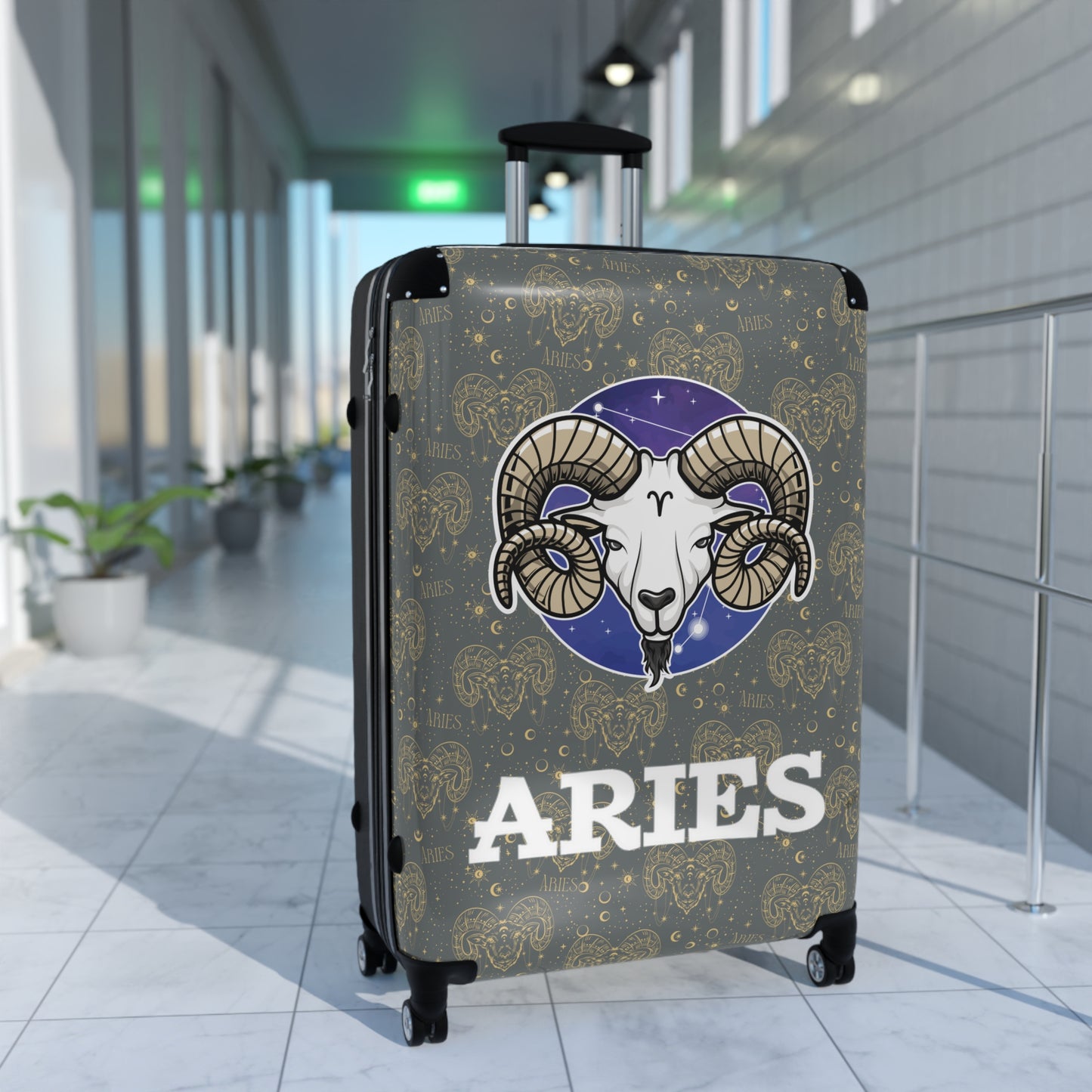 Aries Suitcases (Dark Graey)