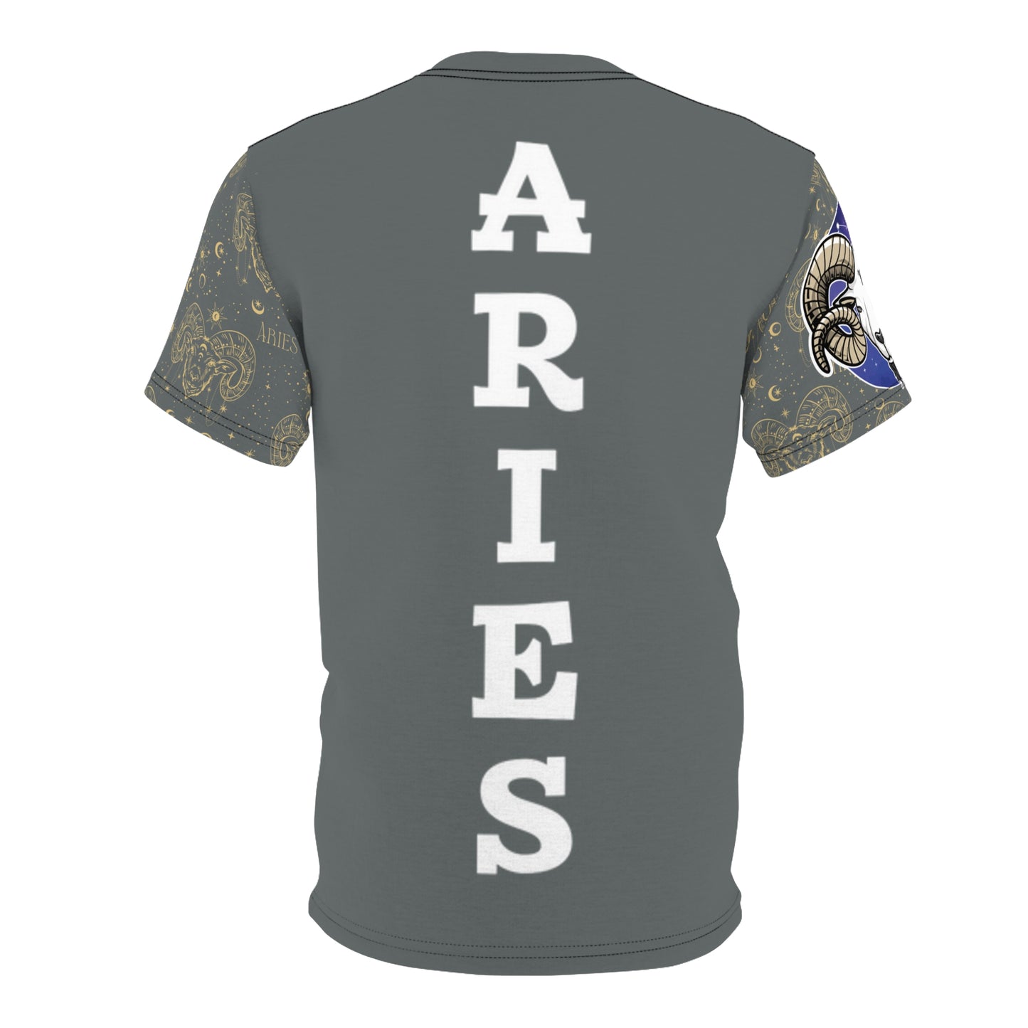 Aries Unisex Cut & Sew Tee (Dark Grey)
