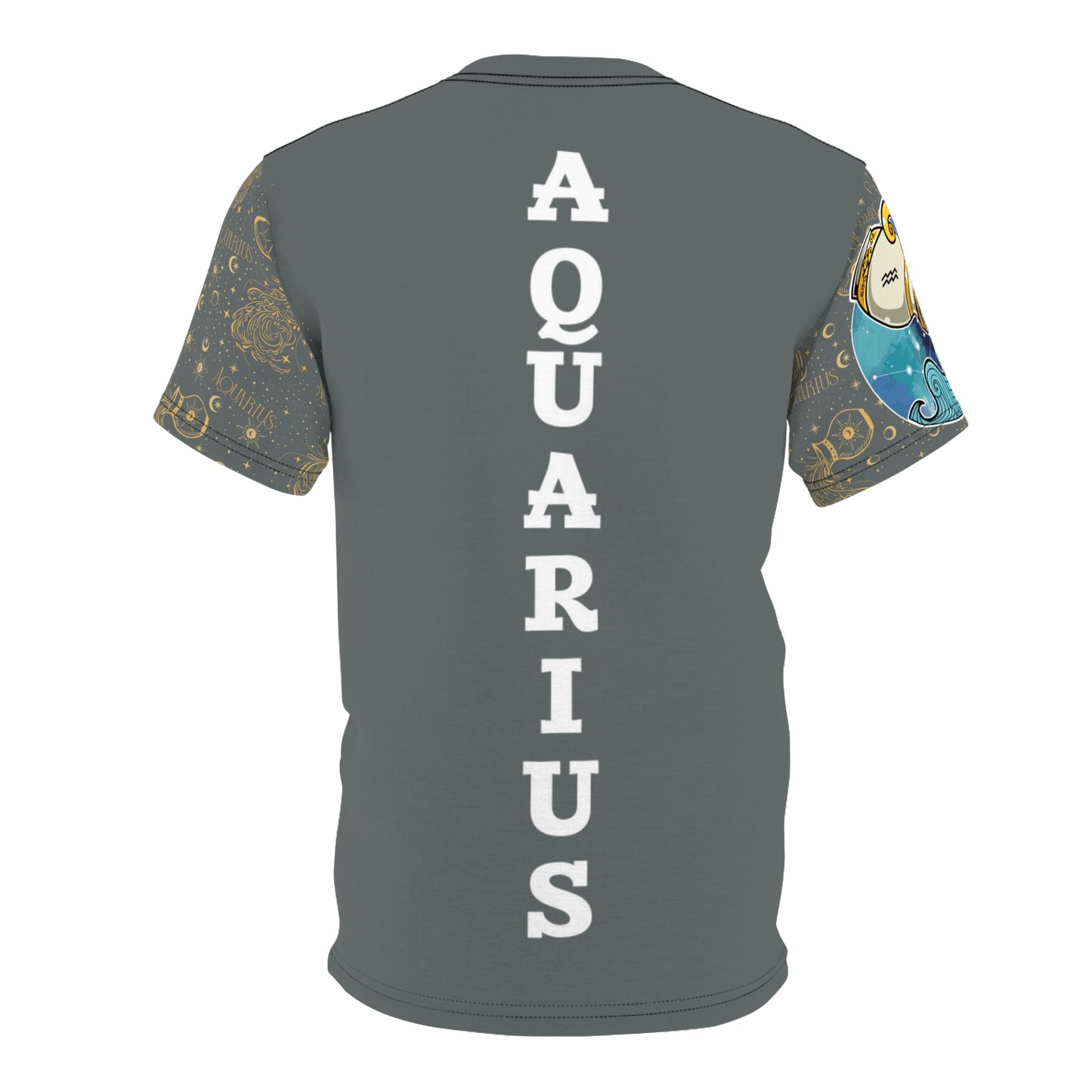 Aquarius Unisex Cut & Sew Tee (Dark Grey)