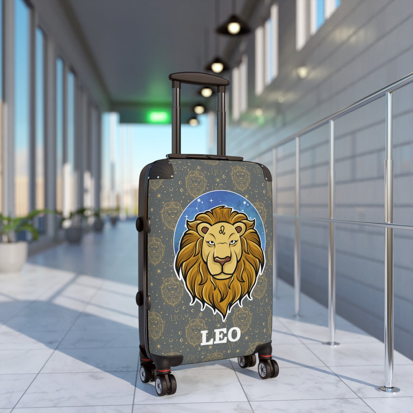 Leo Suitcases (Dark Grey)