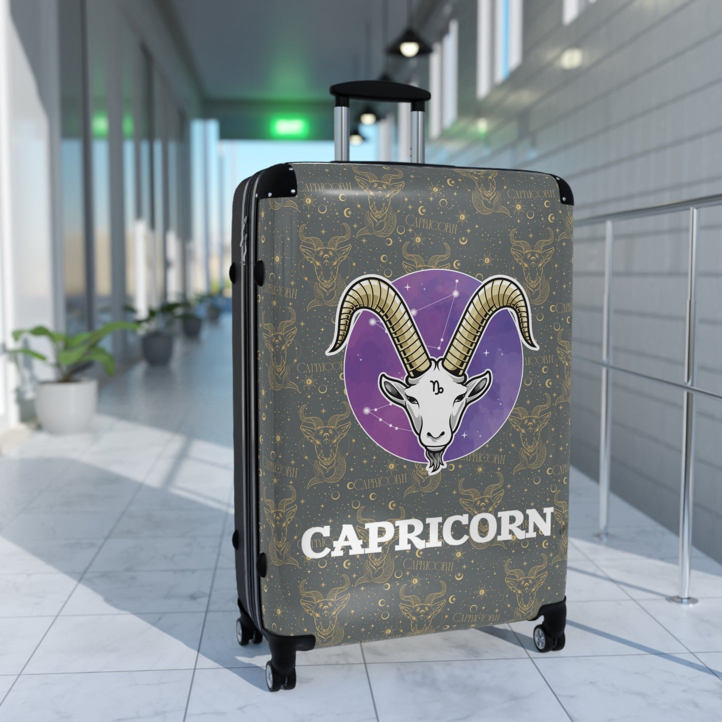 Capricorn Suitcases (Dark Grey)