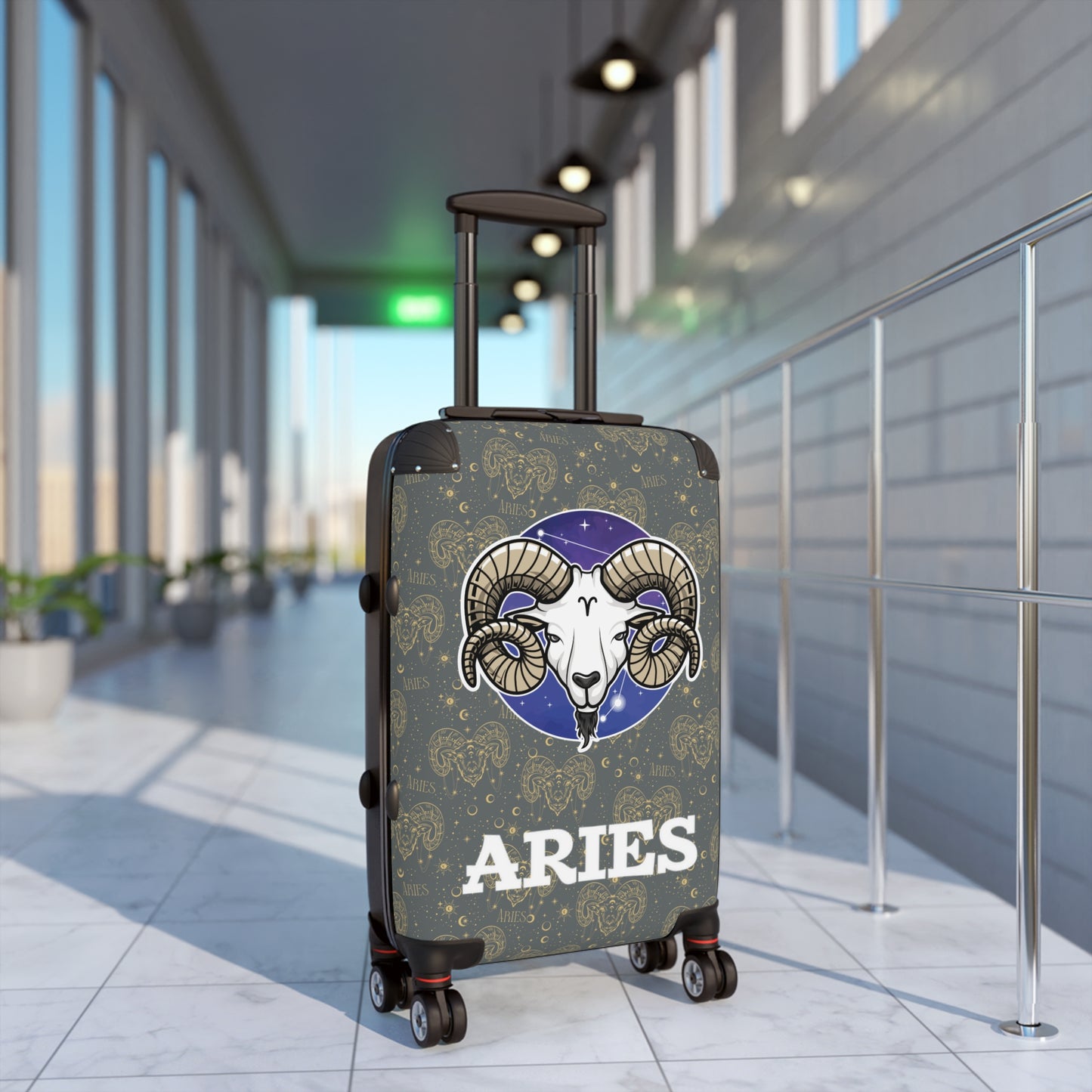 Aries Suitcases (Dark Graey)